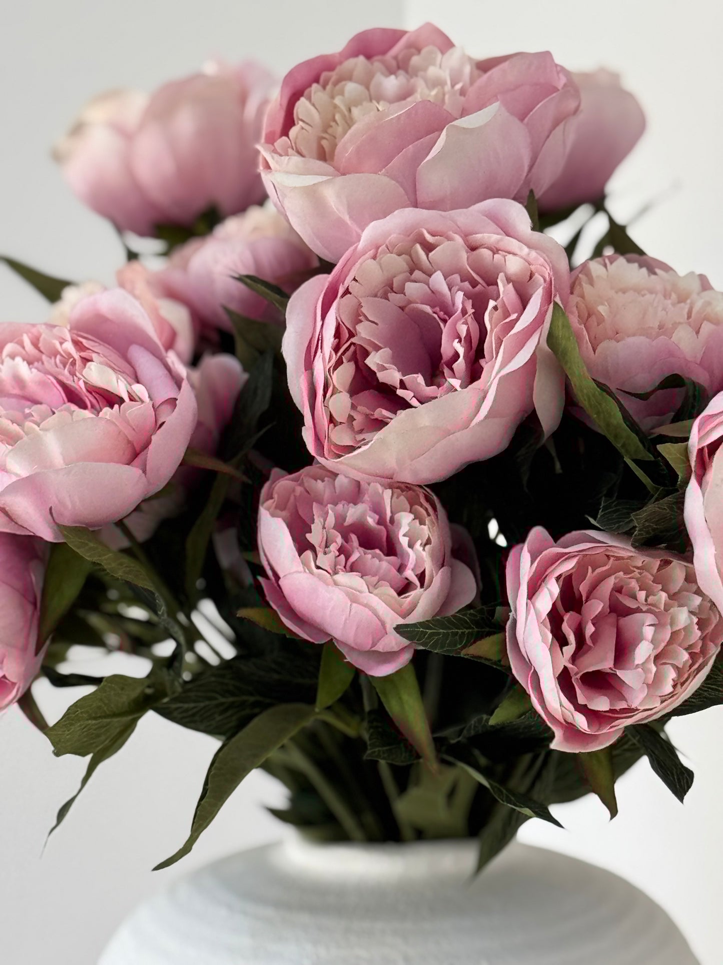 Pink Peony Stem