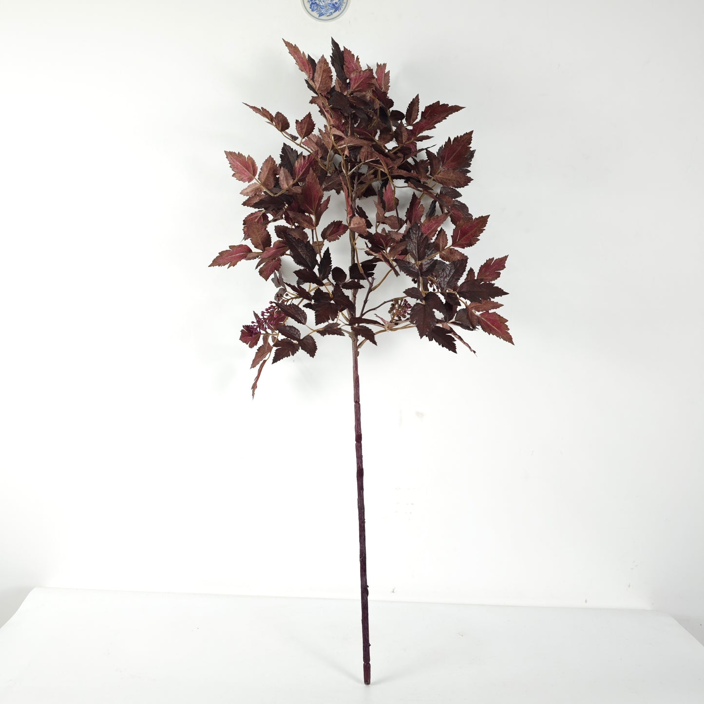 Luxury Burgundy Cimcifuga Autumn Branch