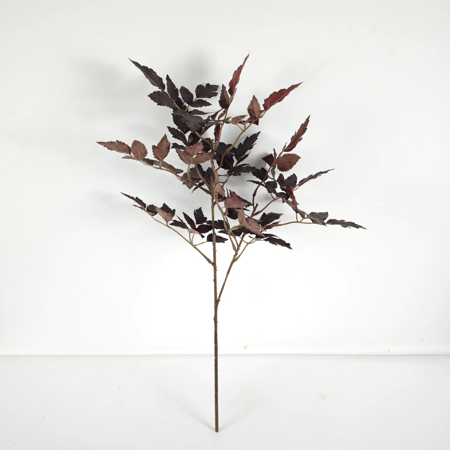 Luxury Burgundy Cimcifuga Autumn Branch