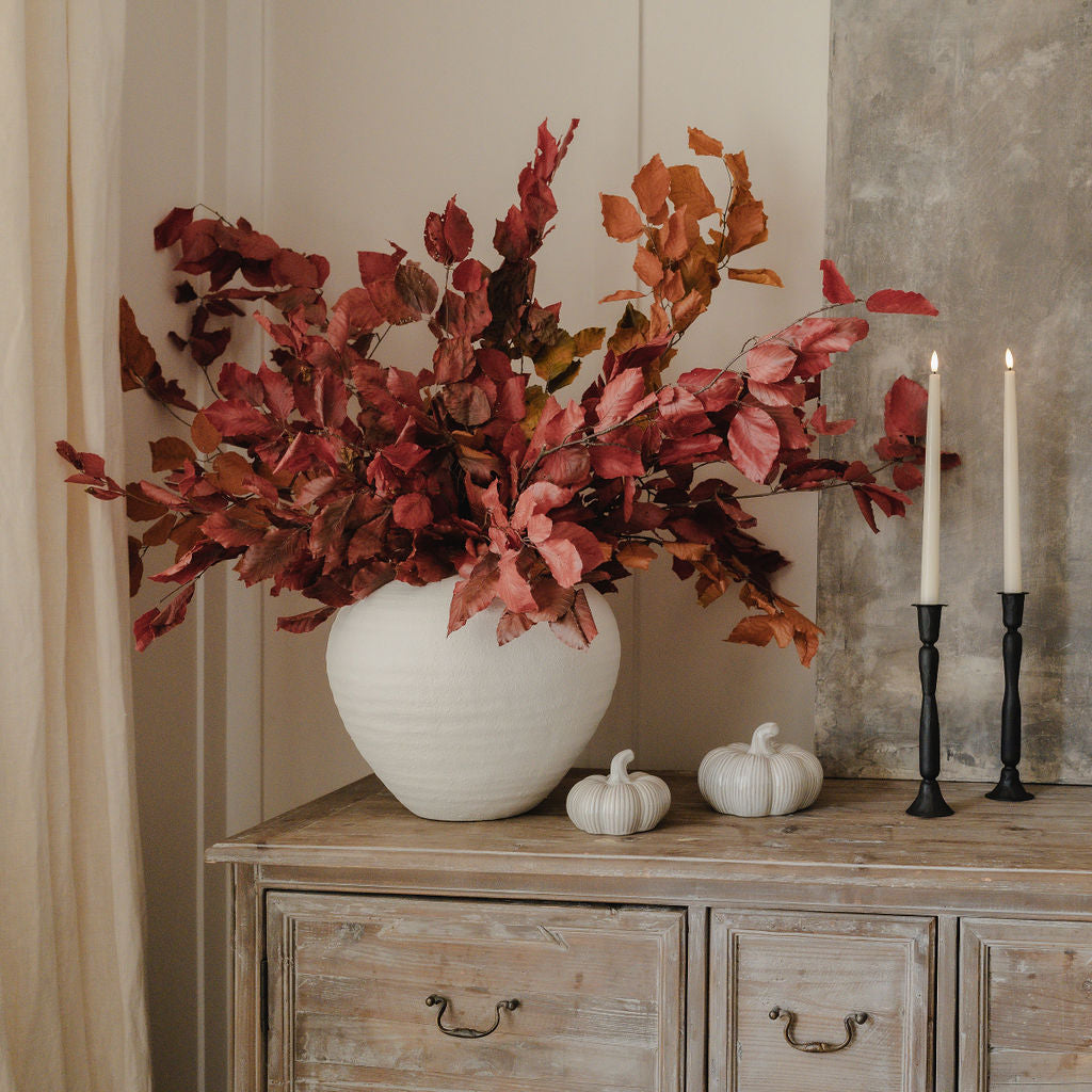 Preserved Autumn Copper Beech Burgundy