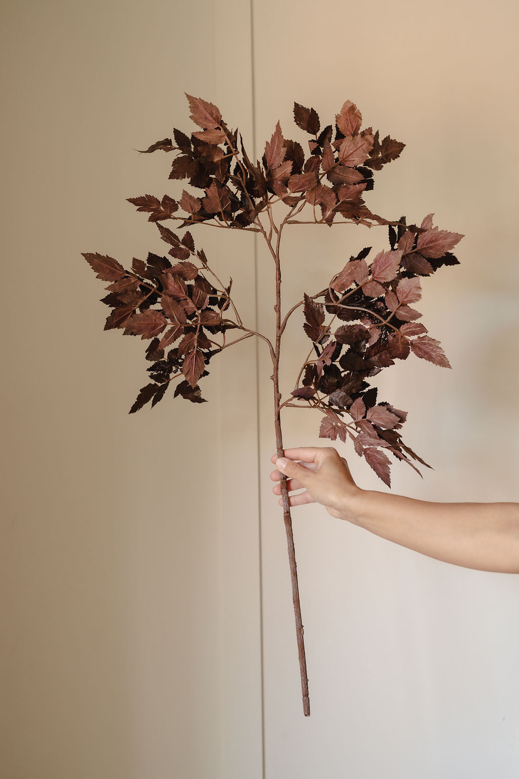 Luxury Burgundy Cimcifuga Autumn Branch