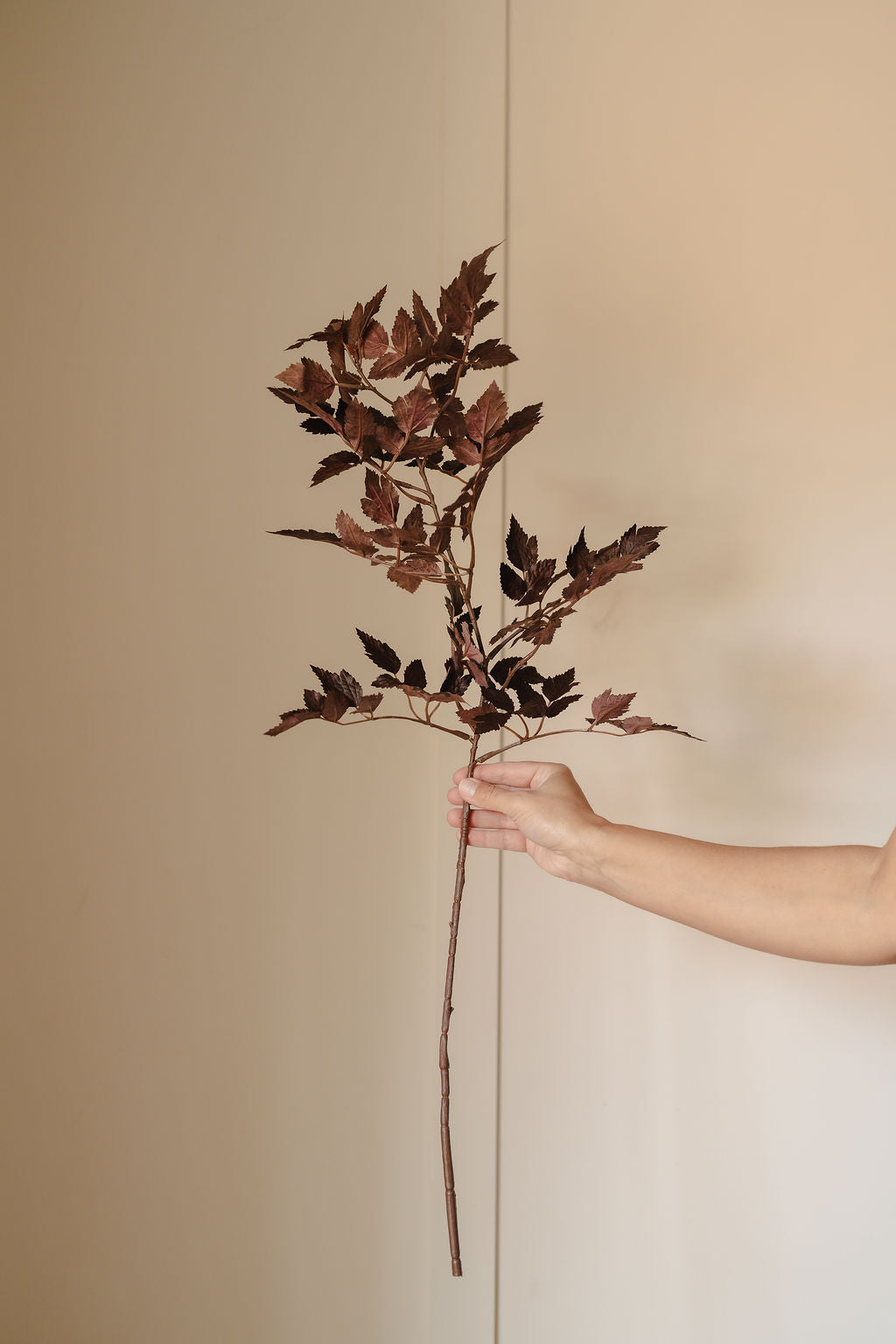 Luxury Burgundy Cimcifuga Autumn Branch
