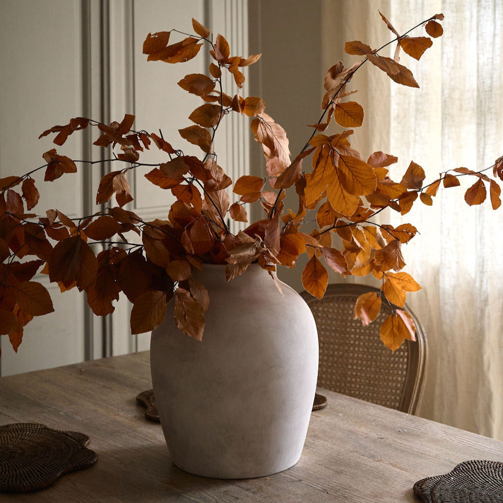 Preserved Autumn Copper Beech Orange is