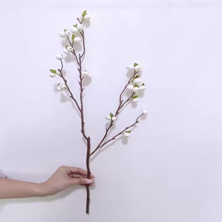 White Berry Stems