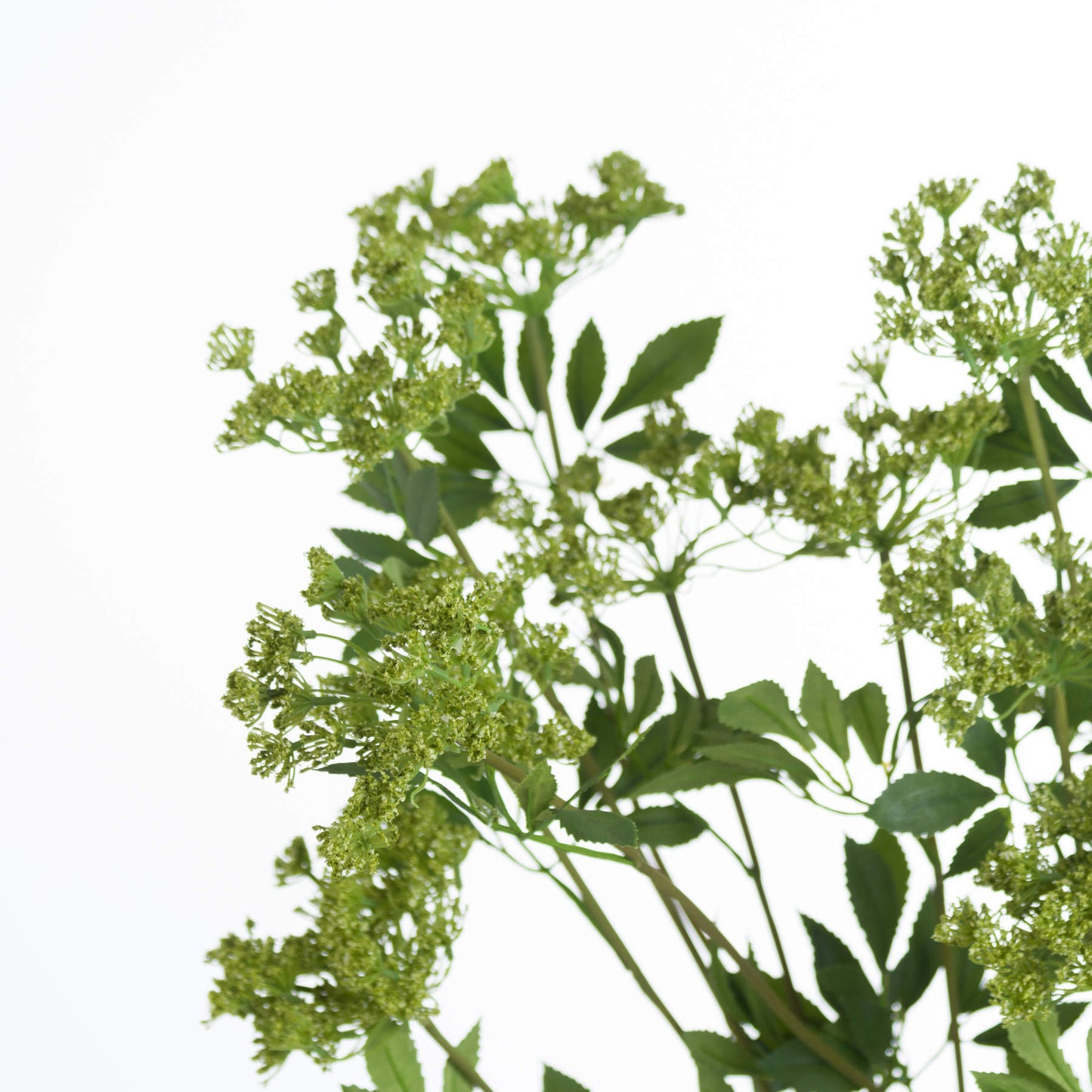 Large Faux Cow Parsley