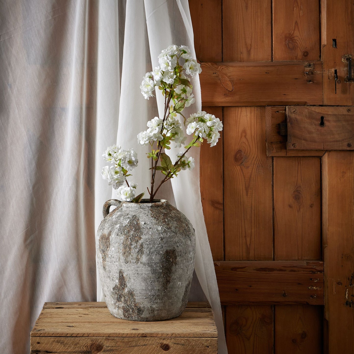 Tall White Blossom Stem