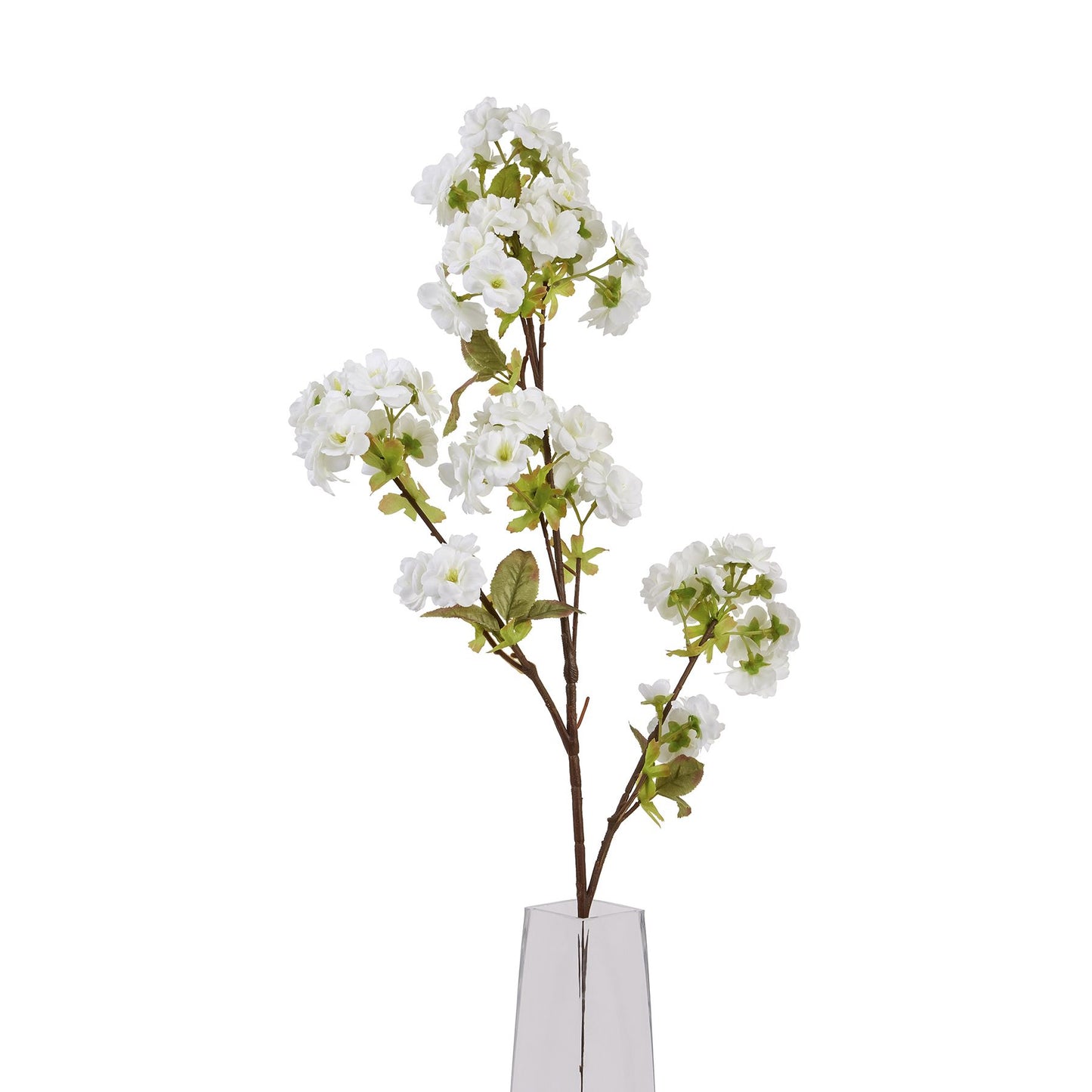 Tall White Blossom Stem