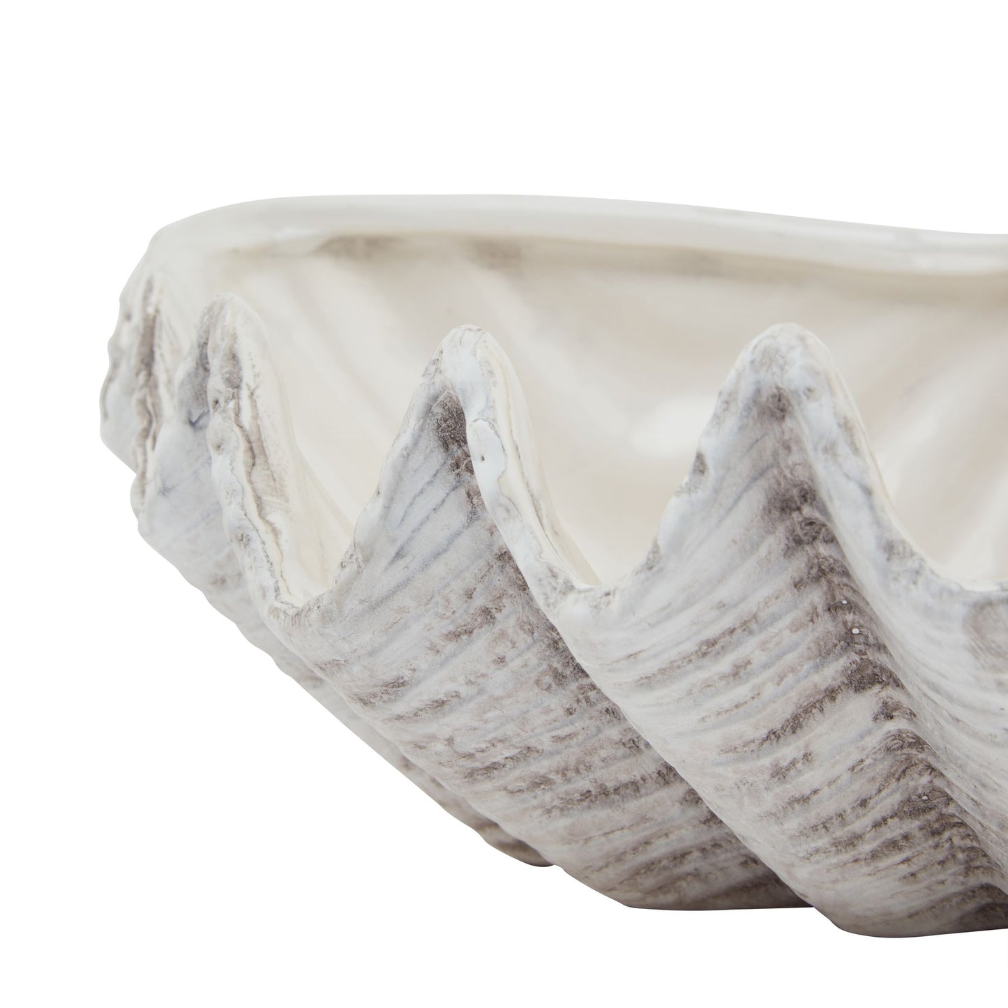 Ceramic Shell Bowl