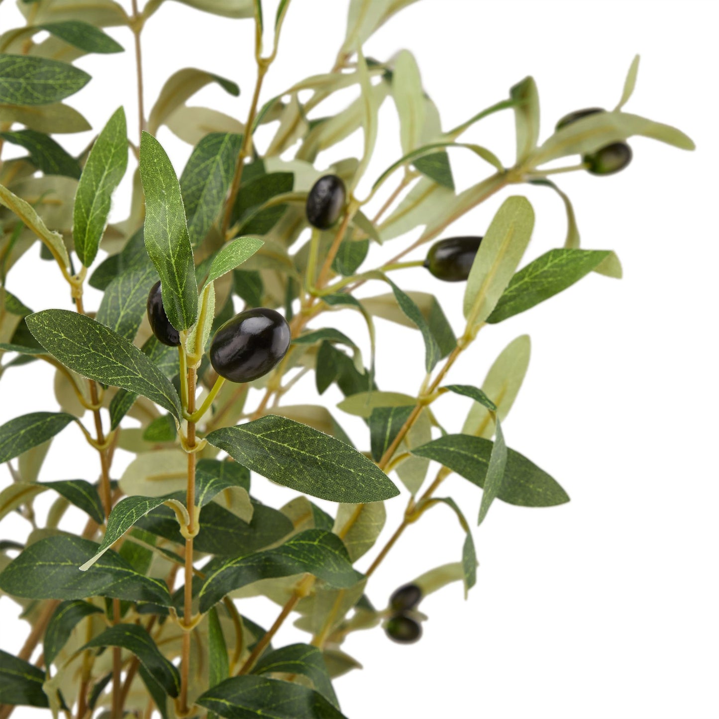 Large Faux Olive Tree