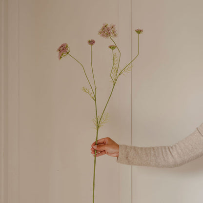 Hand holding a branch with flowers against a plain background