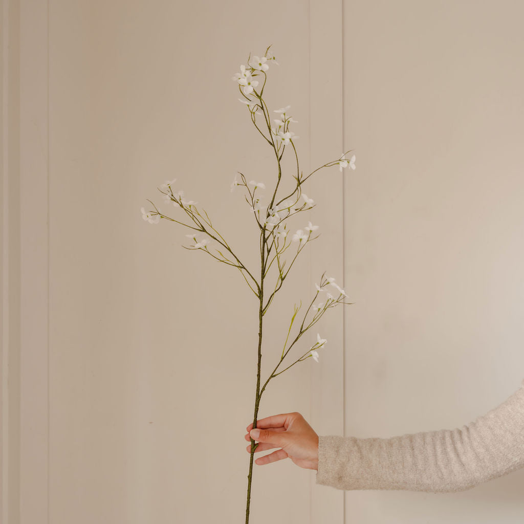 Hand holding a branch with small white flowers against a beige wall.