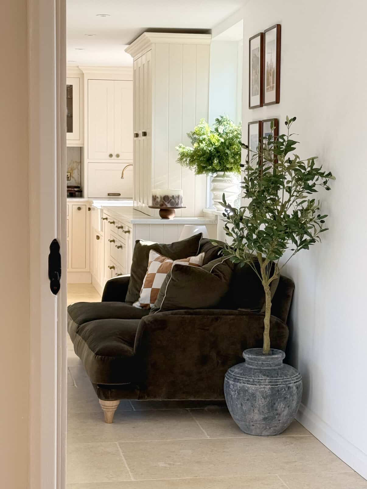 The Mediterranean Olive Tree Bundle (Grey) Worth £250 Bundle Price £200