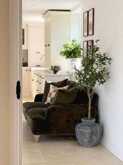 The Mediterranean Olive Tree Bundle (Grey) Worth £250 Bundle Price £200
