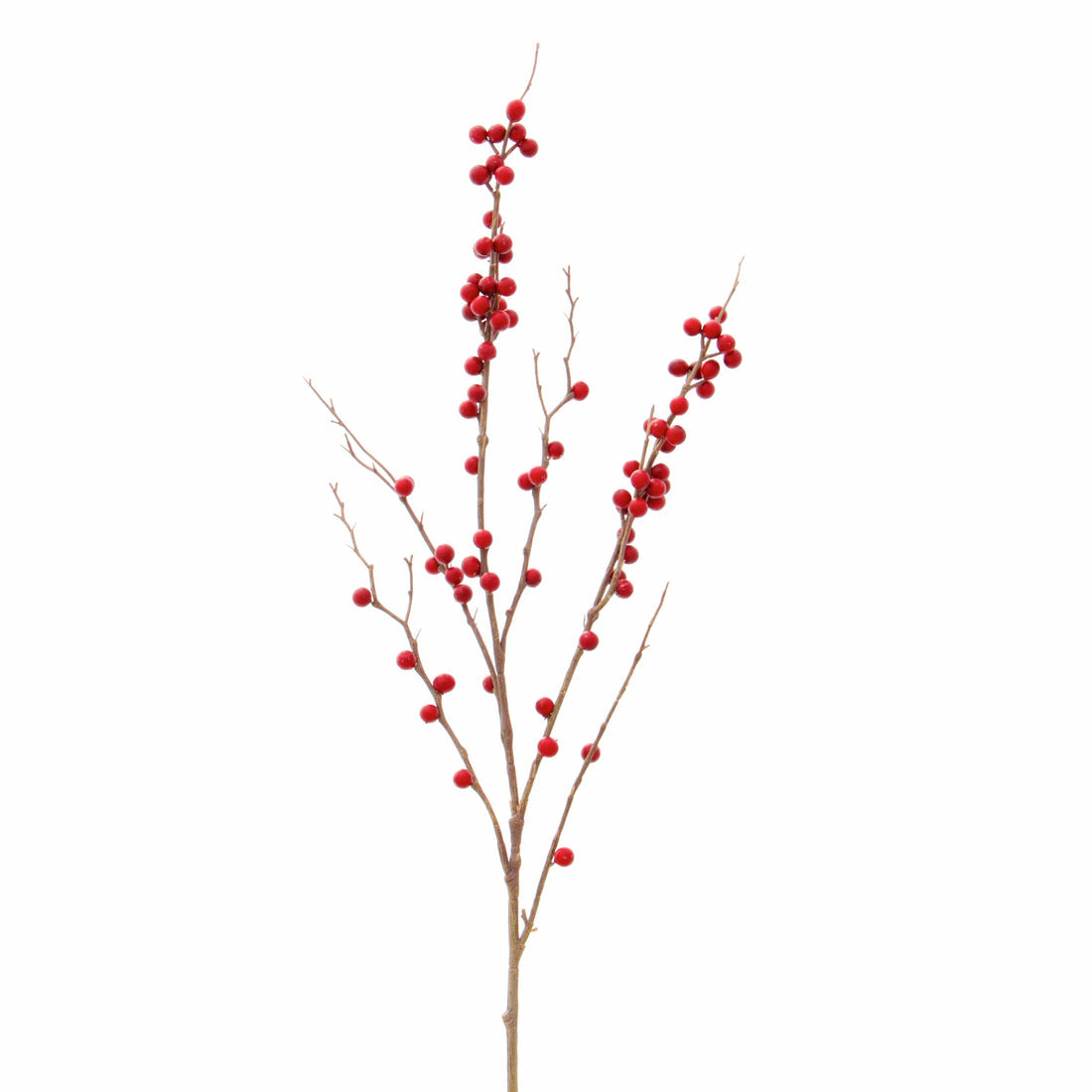 Red Tall Berry Branch