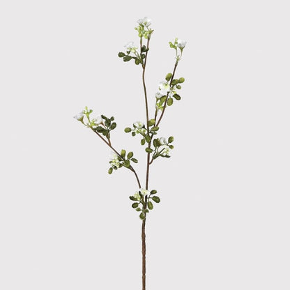 Wax Flower Head