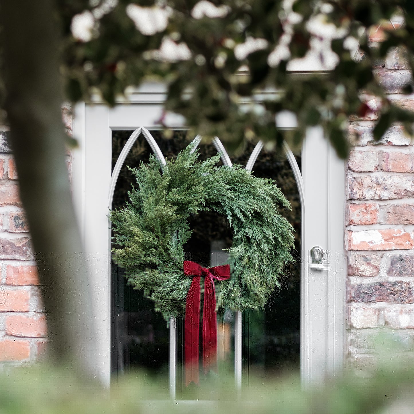 Cypress Cedar Wreath