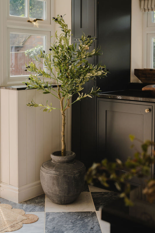 Olive Tree and Rustic Grey Water Pot Bundle Worth £250 Bundle Price £200