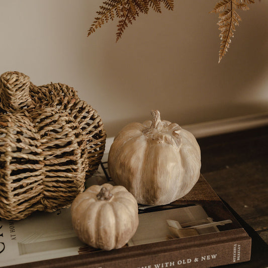 Decorative pumpkins and a textured basket on books with a fern in the background