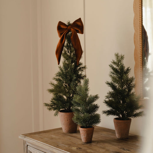 Three potted trees with terracotta pots on a wooden surface, one of which has a large brown bow on top.