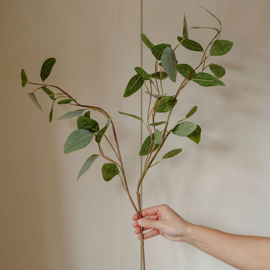 Silver Dollar Eucalyptus Spray