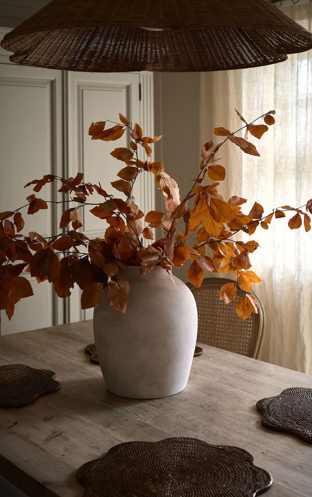 Preserved Autumn Copper Beech Orange