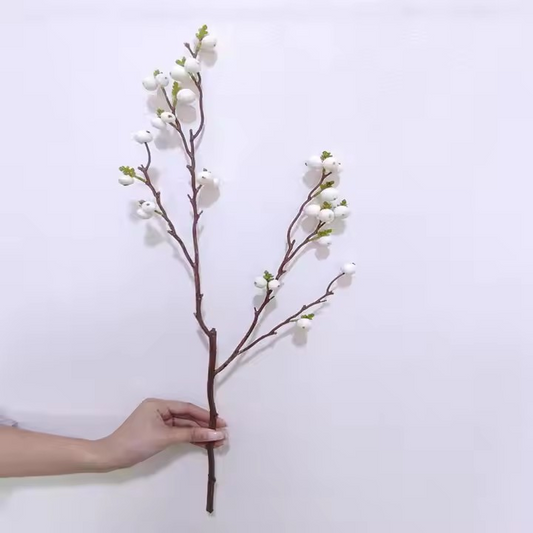 White Berry Stems
