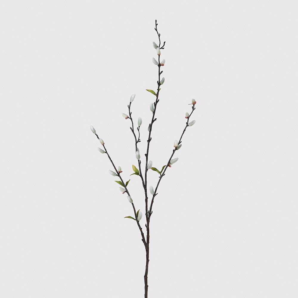 Natural Pussy Willow Stem with Leaves