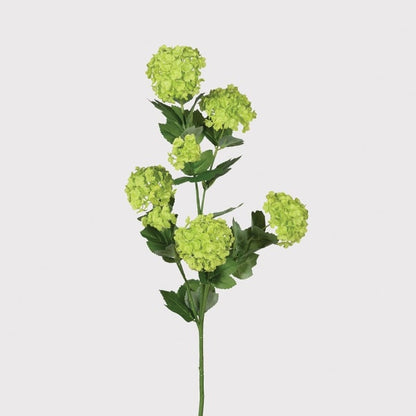 Limelight Snowball Spray